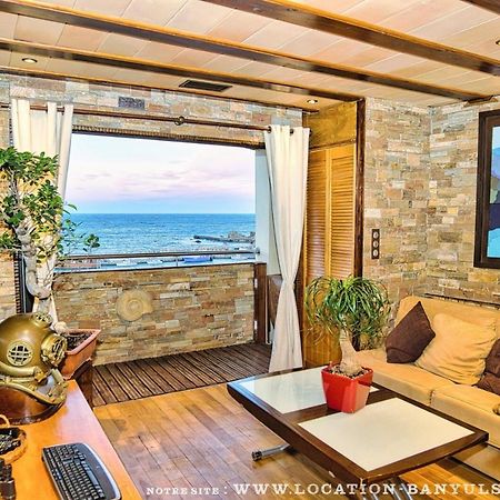 Location Front De Mer De Thierry Bourgait 滨海巴纽尔斯 外观 照片