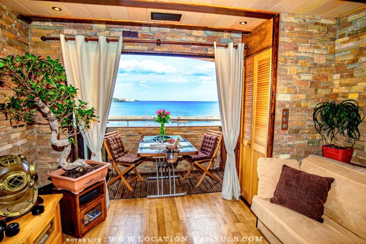 Location Front De Mer De Thierry Bourgait 滨海巴纽尔斯 外观 照片